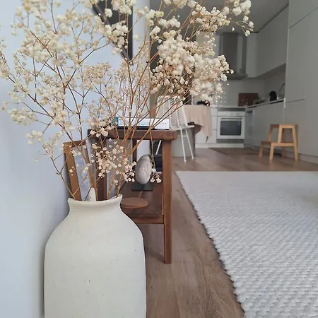 Luxury In The Historic Centre Apartmán Aveiro