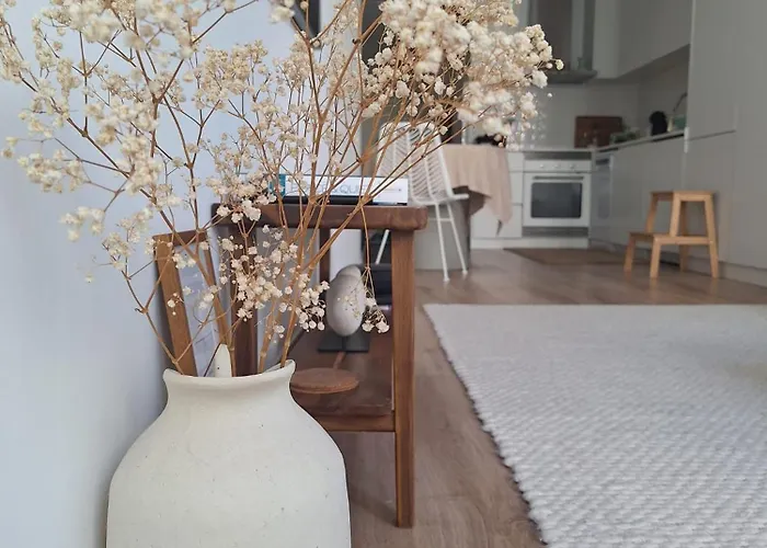 Luxury In The Historic Centre Lejlighed Aveiro